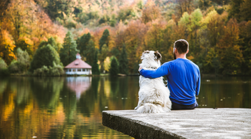 WHY DOGS ARE GOOD FOR OUR MENTAL HEALTH