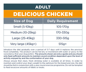 Adult: Delicious Chicken