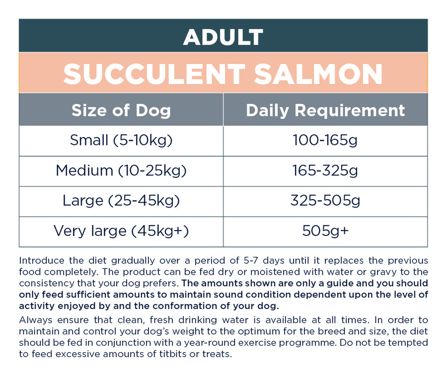 Adult: Succulent Salmon